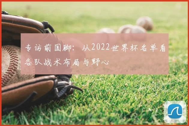 专访前国脚：从2022世界杯名单看各队战术布局与野心