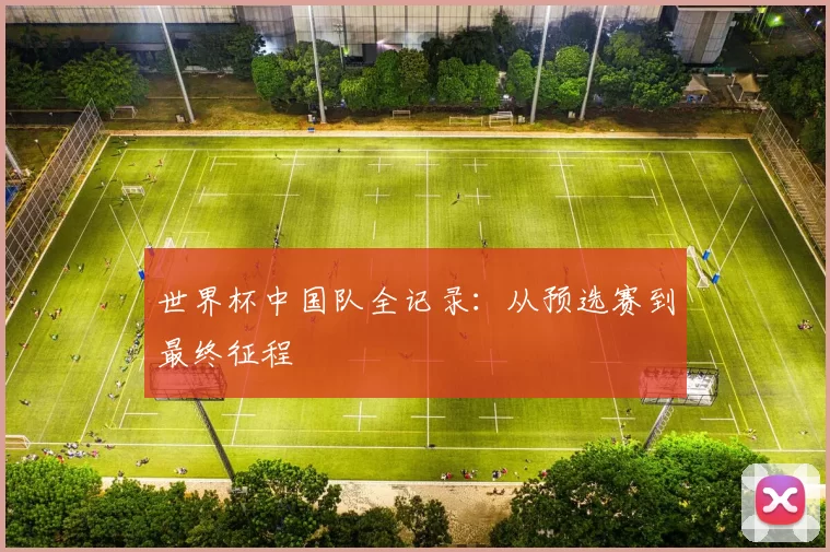 世界杯中国队全记录：从预选赛到最终征程
