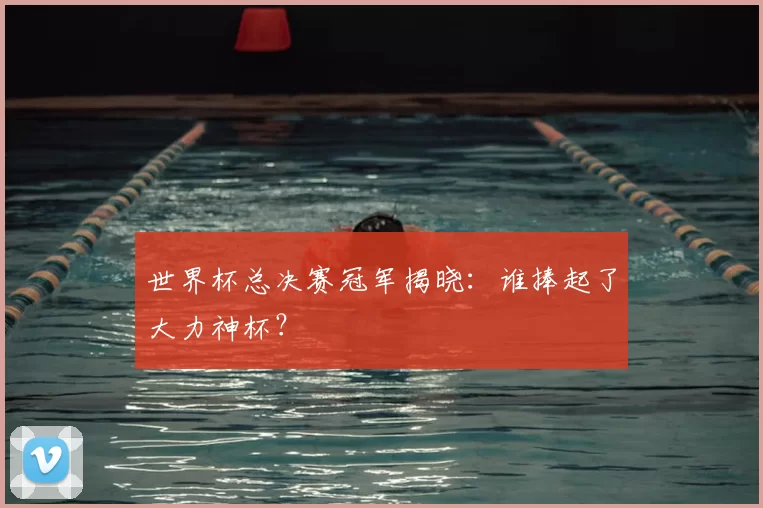 世界杯总决赛冠军揭晓：谁捧起了大力神杯？