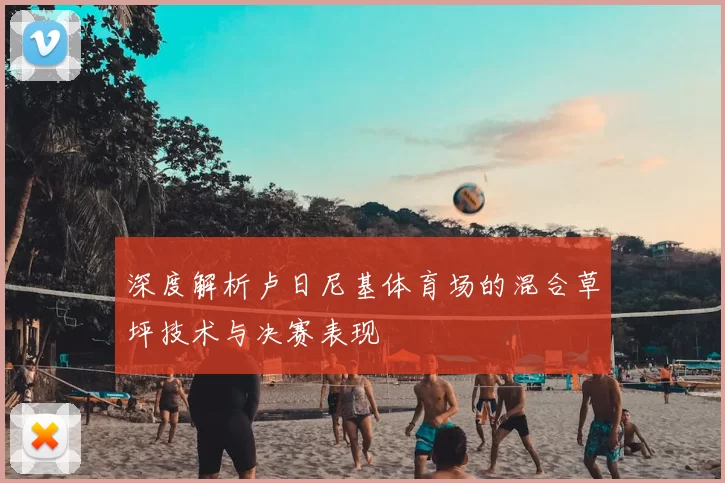 深度解析卢日尼基体育场的混合草坪技术与决赛表现