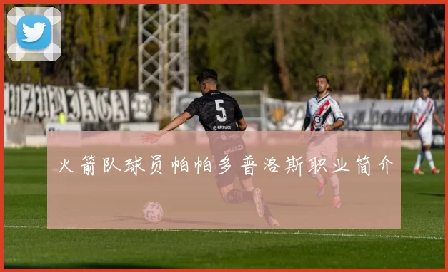 火箭队球员帕帕多普洛斯职业简介