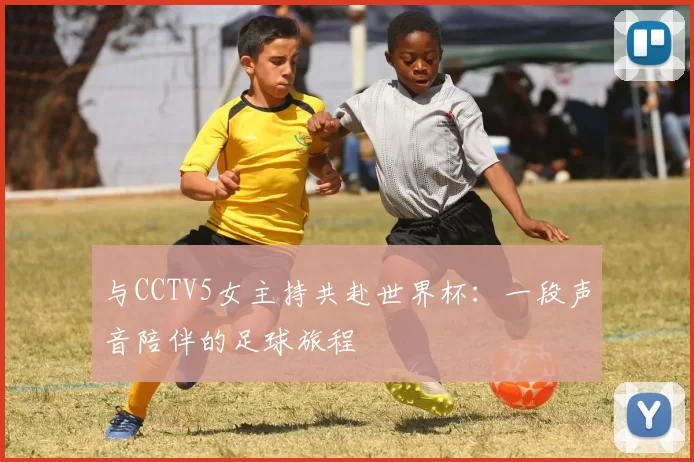 与CCTV5女主持共赴世界杯：一段声音陪伴的足球旅程