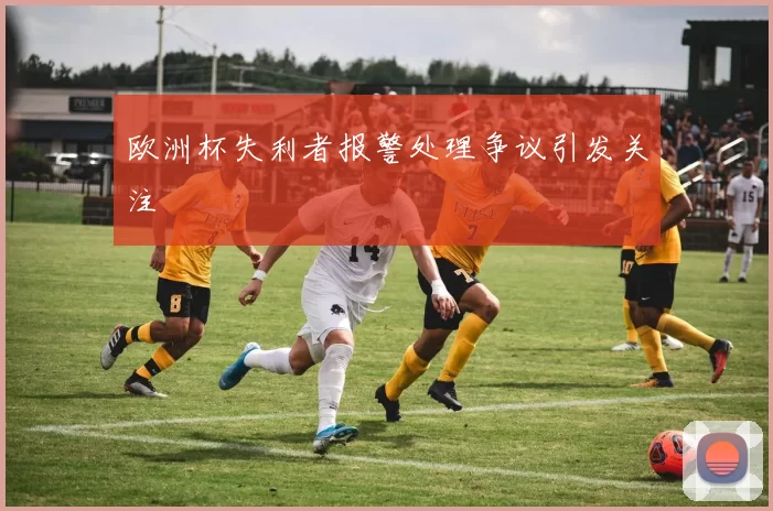 欧洲杯失利者报警处理争议引发关注