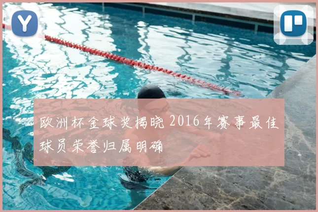 欧洲杯金球奖揭晓 2016年赛事最佳球员荣誉归属明确