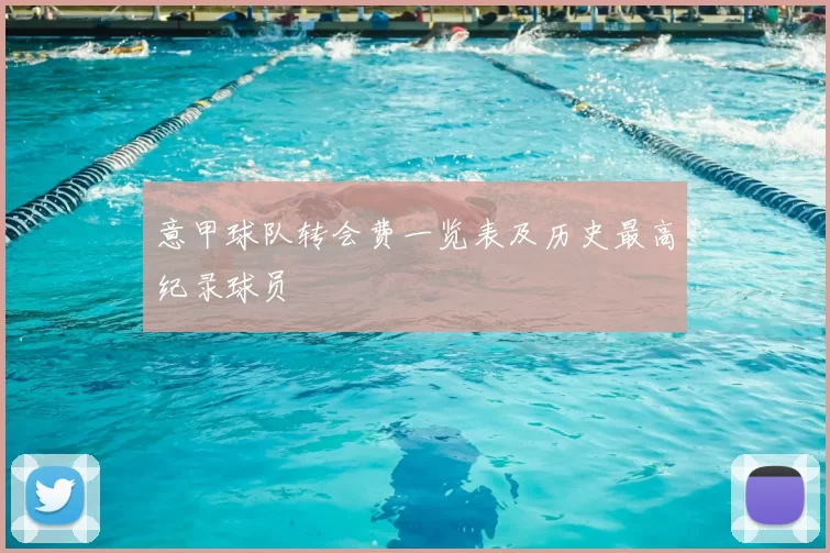 意甲球队转会费一览表及历史最高纪录球员