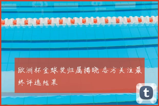 欧洲杯金球奖归属揭晓 各方关注最终评选结果