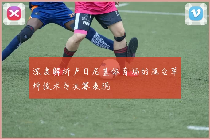深度解析卢日尼基体育场的混合草坪技术与决赛表现