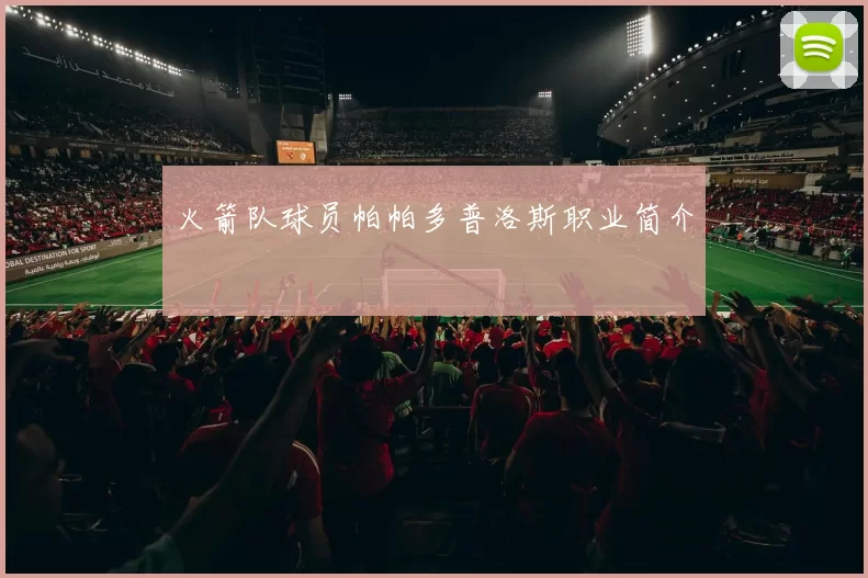 火箭队球员帕帕多普洛斯职业简介