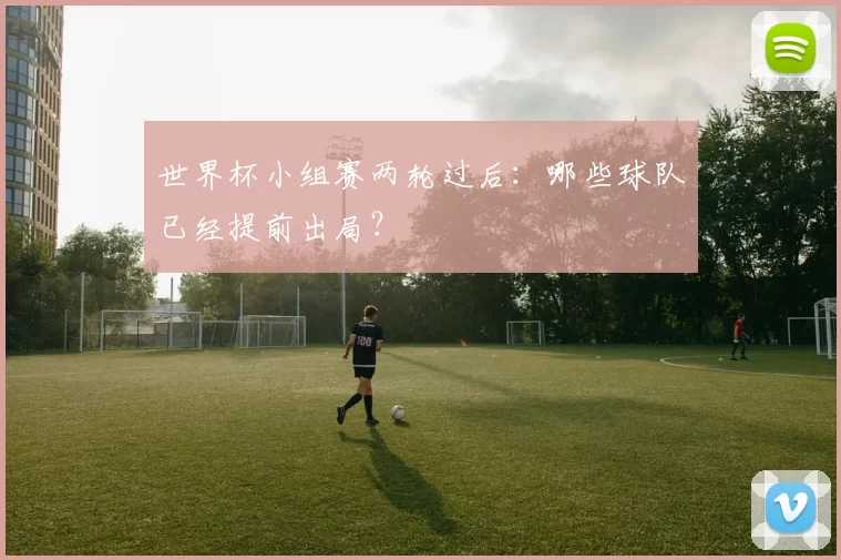 世界杯小组赛两轮过后:哪些球队已经提前出局?