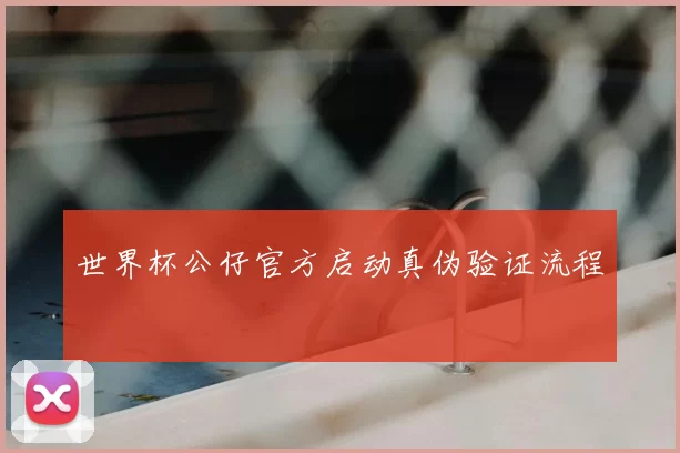 世界杯公仔官方启动真伪验证流程