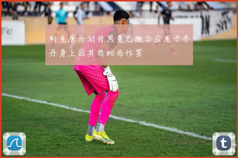 耐克原计划将黑曼巴概念应用于乔丹身上因其恐蛇而作罢