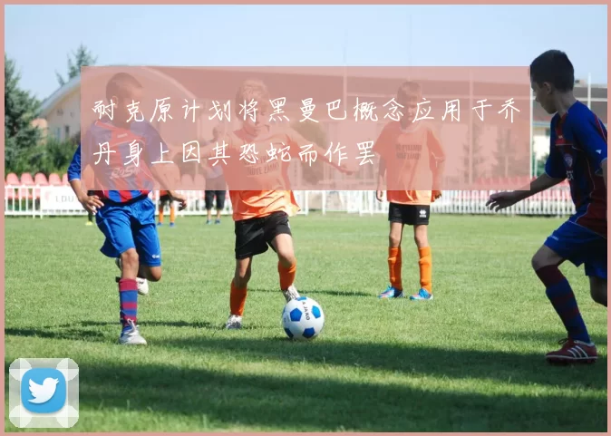耐克原计划将黑曼巴概念应用于乔丹身上因其恐蛇而作罢