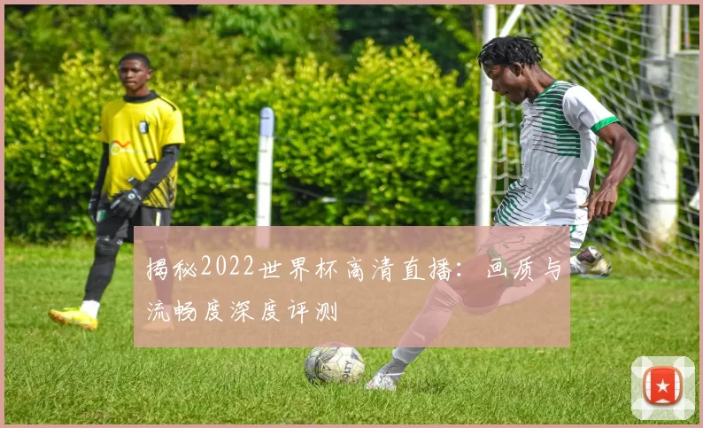 揭秘2022世界杯高清直播：画质与流畅度深度评测