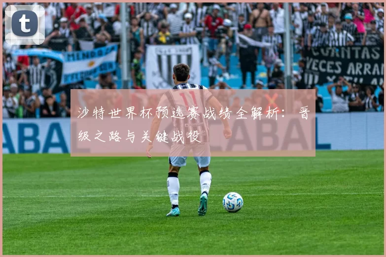 沙特世界杯预选赛战绩全解析：晋级之路与关键战役