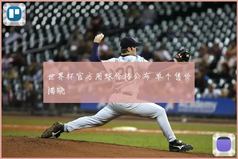世界杯官方用球价格公布 单个售价揭晓