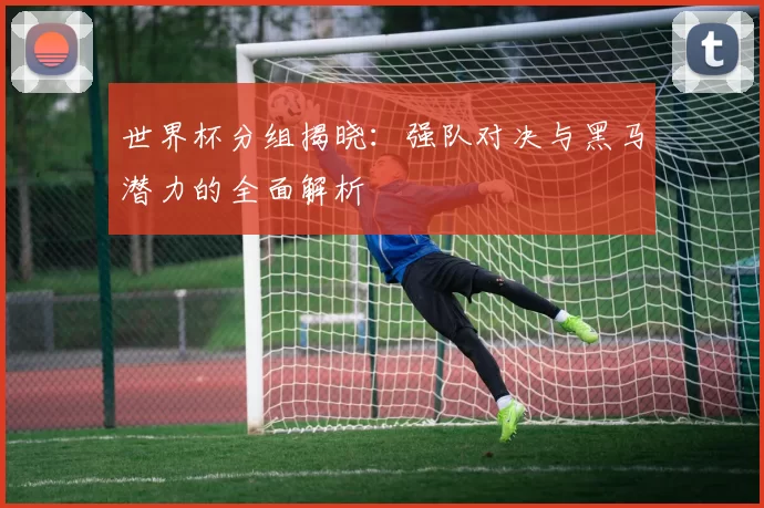 世界杯分组揭晓:强队对决与黑马潜力的全面解析