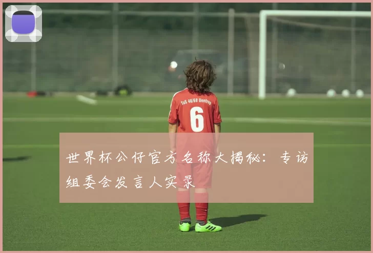 世界杯公仔官方名称大揭秘:专访组委会发言人实录