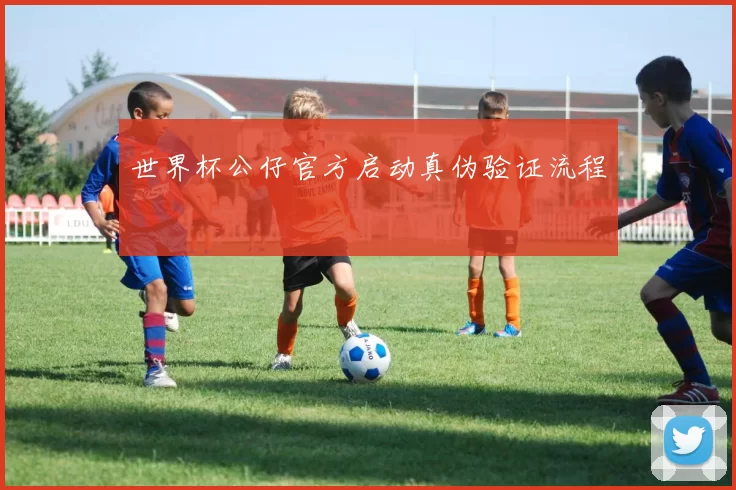 世界杯公仔官方启动真伪验证流程