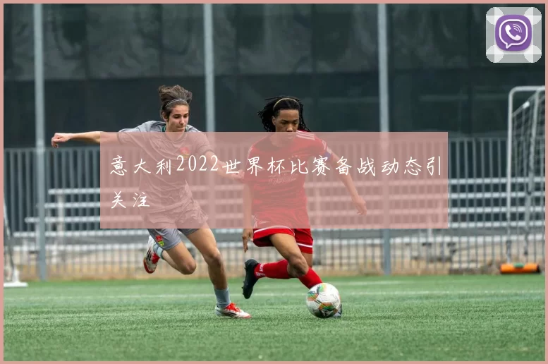 意大利2022世界杯比赛备战动态引关注