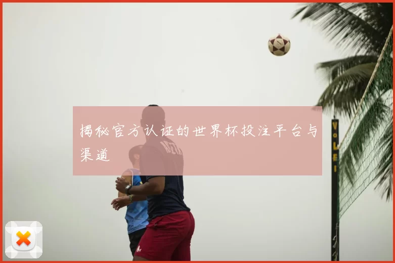 揭秘官方认证的世界杯投注平台与渠道